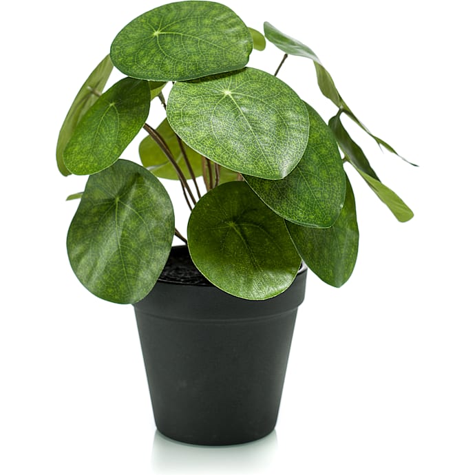 Kunstig plante - Pilea
