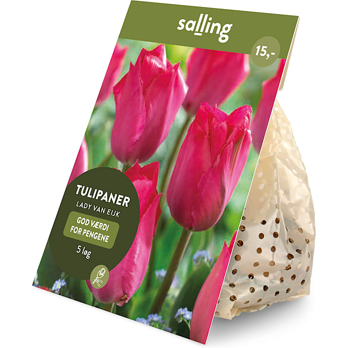 Salling blomsterløg Tulipaner Lady Van Eijk 5 løg
