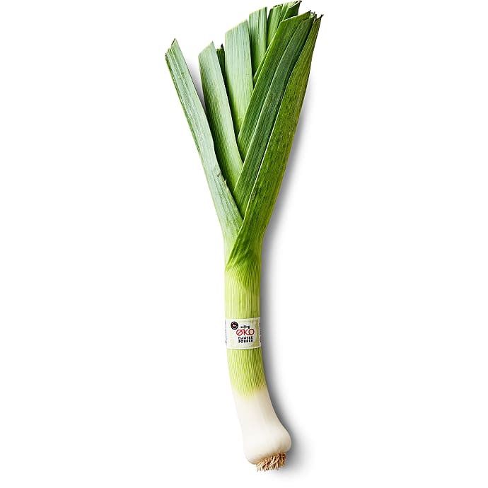 Salling ØKO Porrer Øko