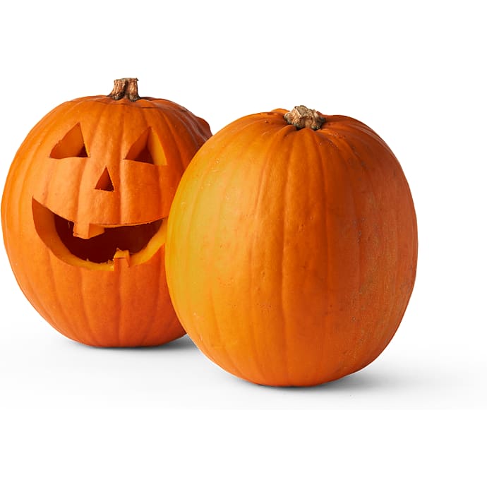 Halloweengræskar 3-7 kg