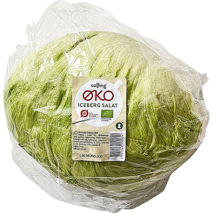 Icebergsalat øko