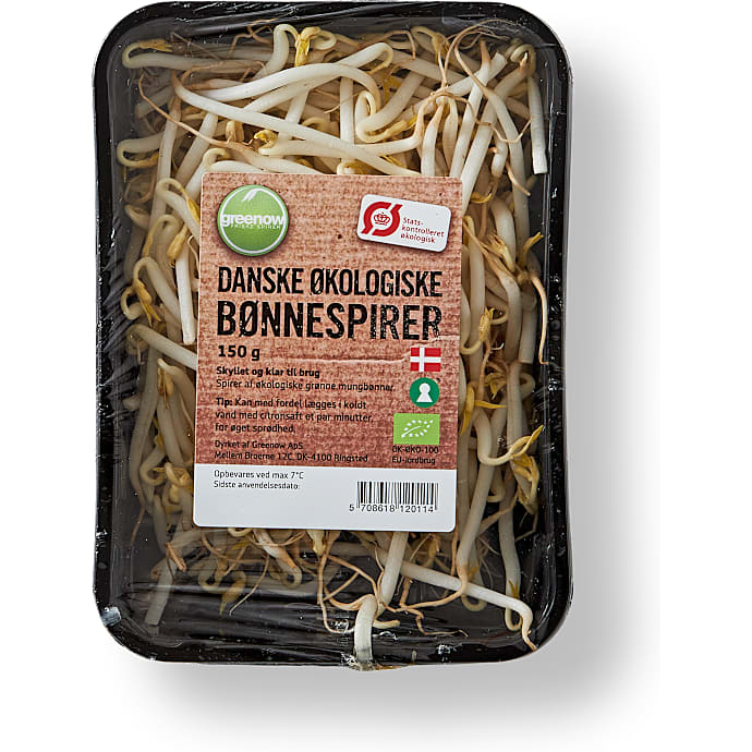 Bønnespirer øko – produktbillede