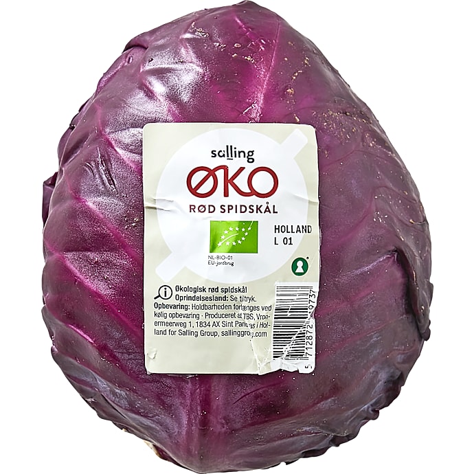 Rød spidskål øko