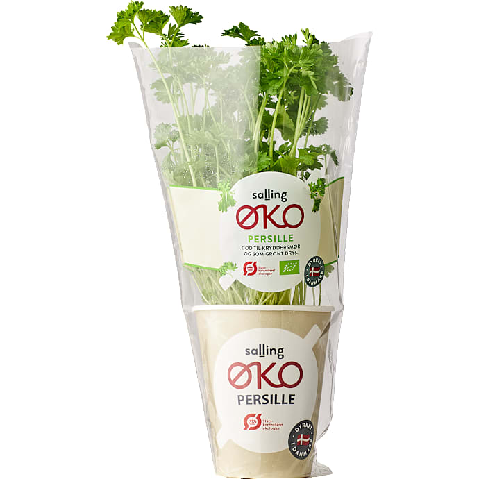 Persille øko