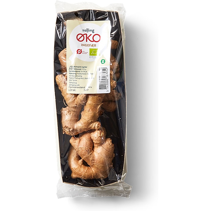 Ingefær øko