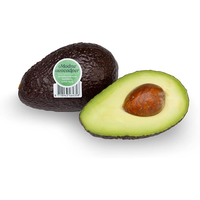 lille moden avocado