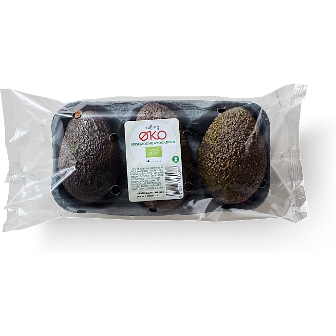 Spisemodne avocadoer øko