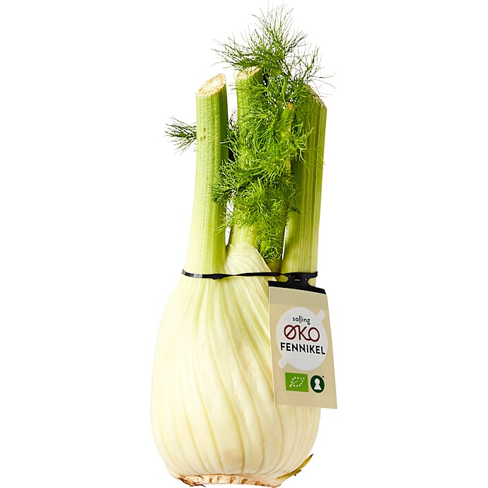 Fennikel øko – produktbillede