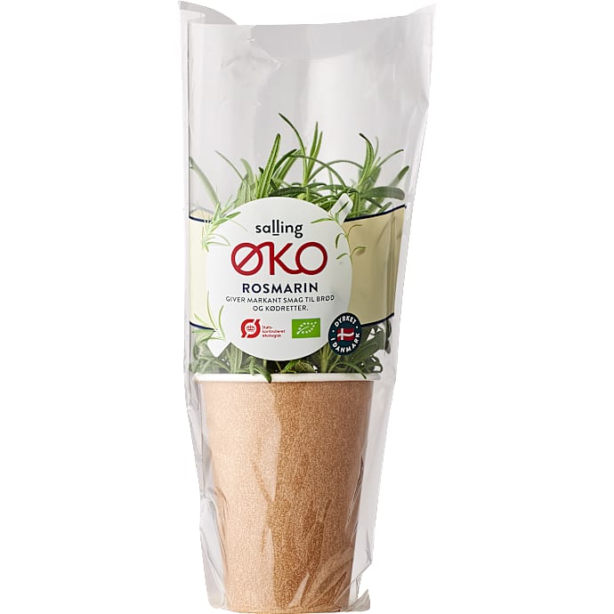 Rosmarin øko – produktbillede