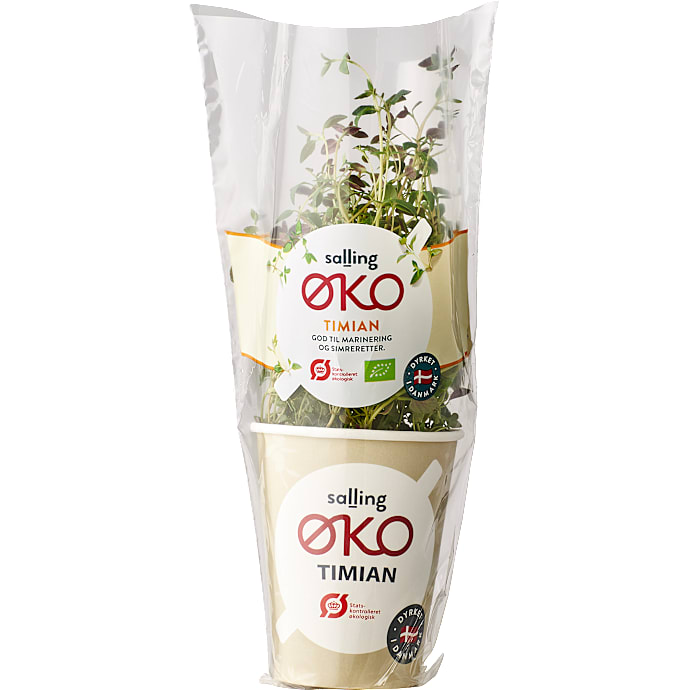 Timian øko