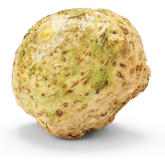 Knoldselleri
