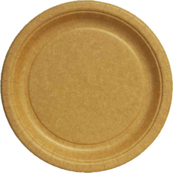 Salling paptallerkener Ø:22 cm 10-pak - kraft