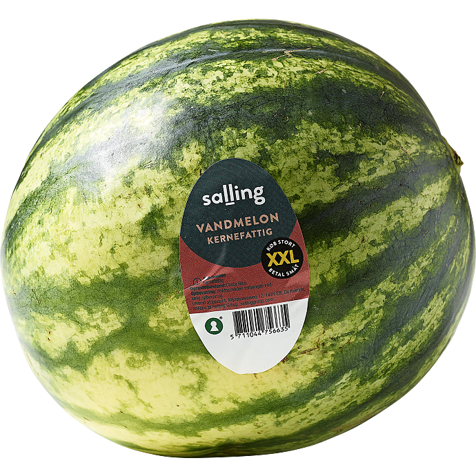 Vandmelon XXL