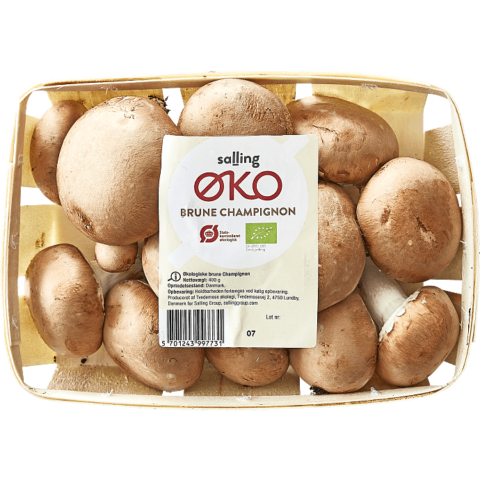 Brune champignon øko