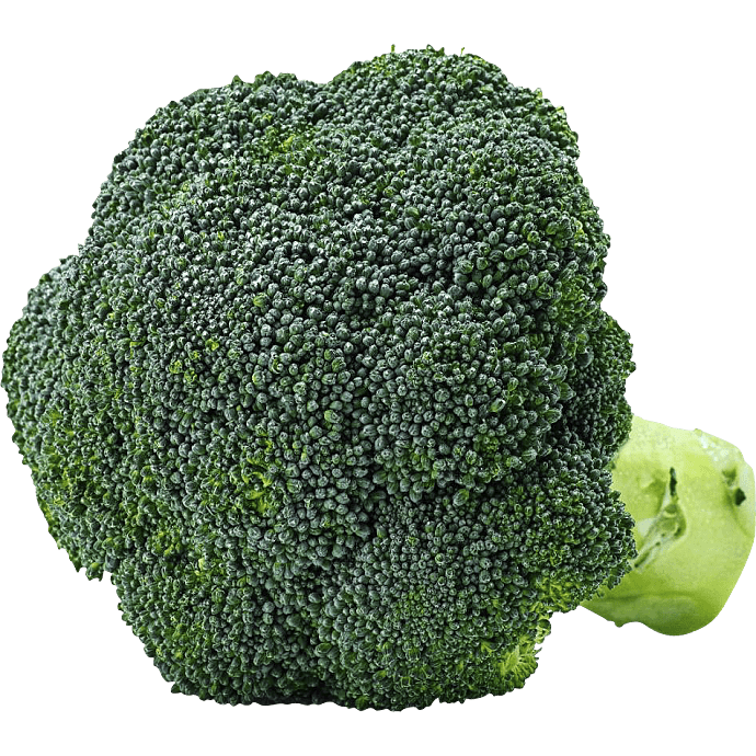 Broccoli