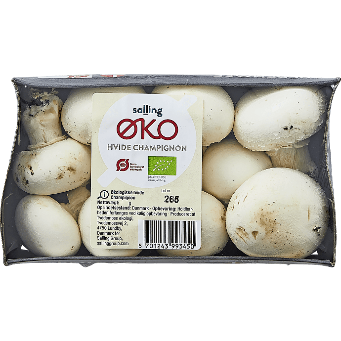 Hvide champignon øko