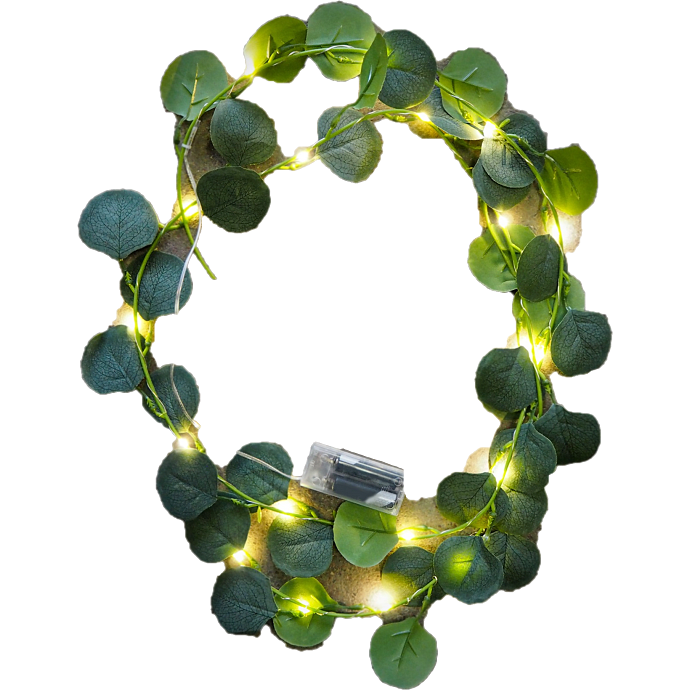 Salling lyskæde med eucalyptus 2 meter - grøn