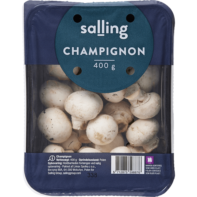 Hvide champignon