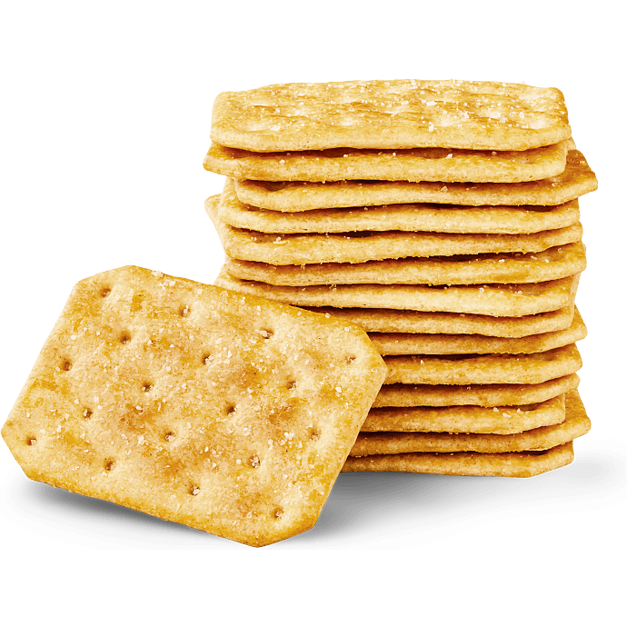 Saltkiks