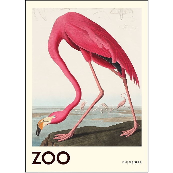 The Zoo Collection, Flamingo - 30x40 cm