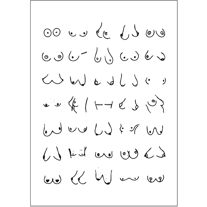 Boobies nr. 3 - 30x40 cm