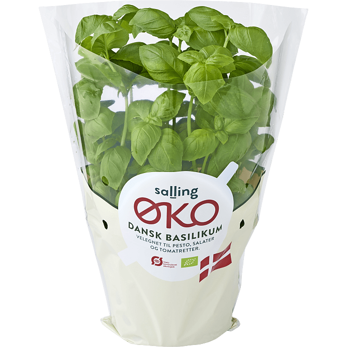 Basilikum øko
