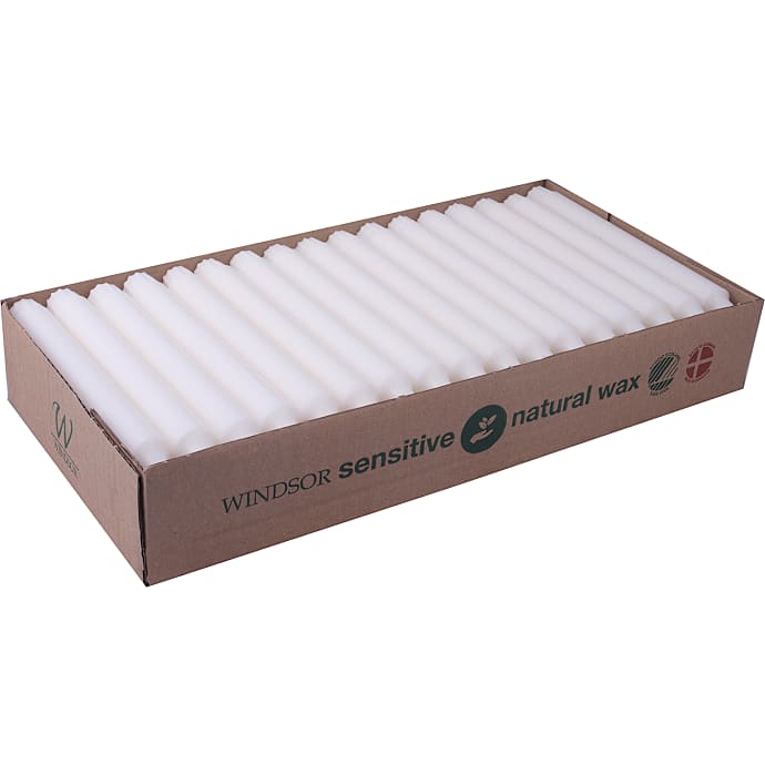 Windsor kronelys 2,2x20 cm 50-pak - hvid