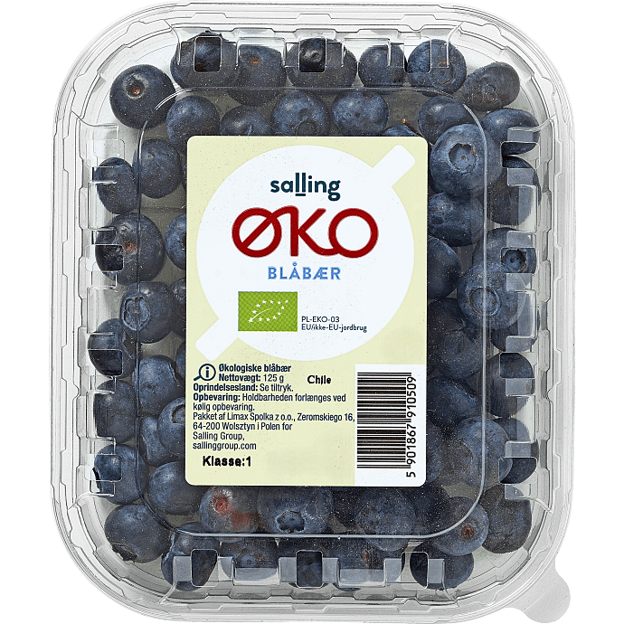 Blåbær øko