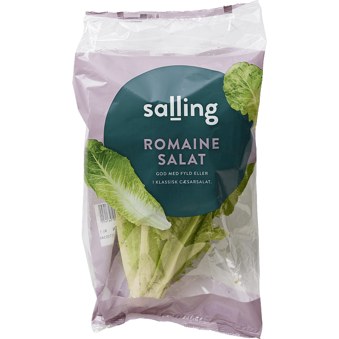 Romainesalat