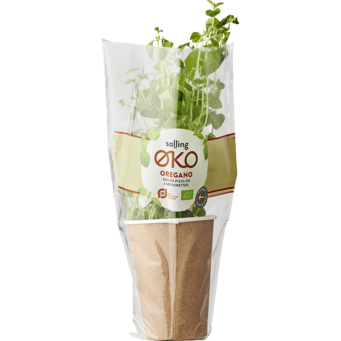 Oregano øko