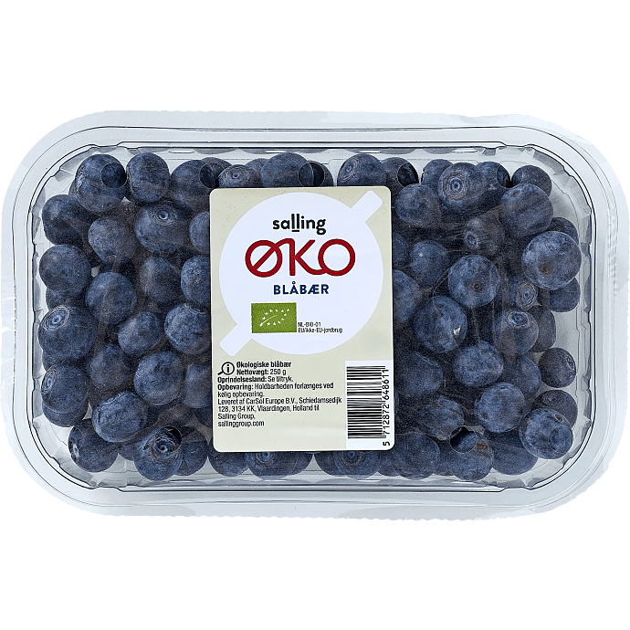 Blåbær øko