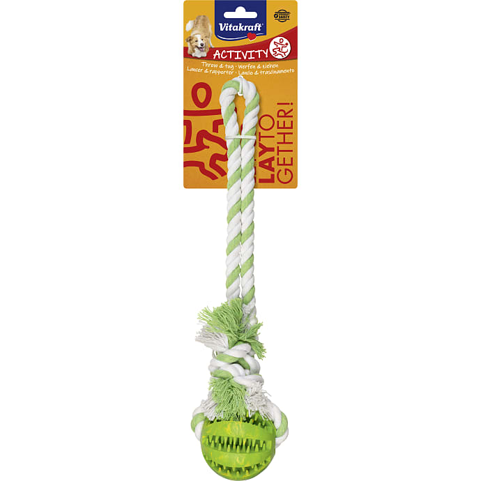 Bold i snor