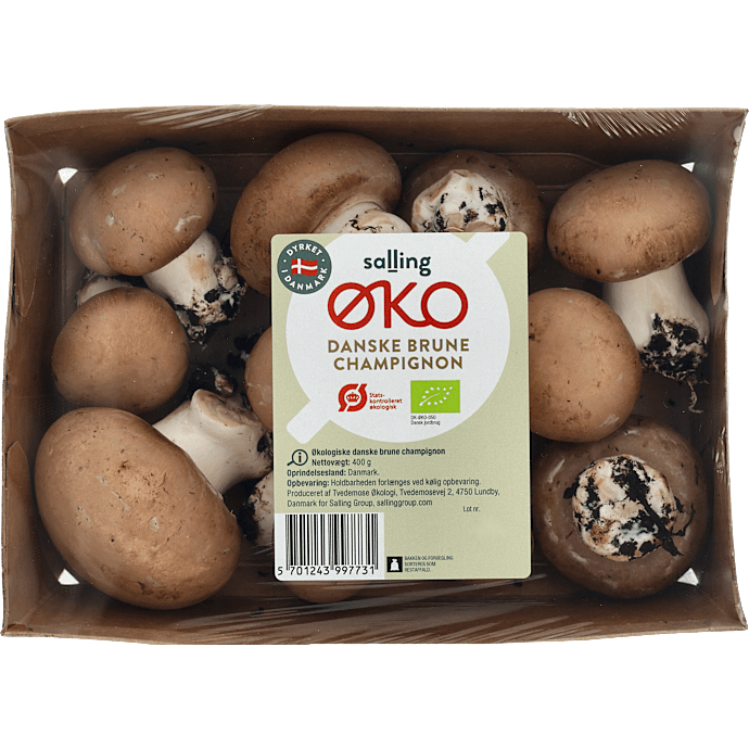 Brune champignon øko
