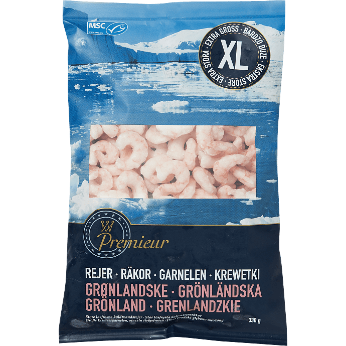 Rejer XL
