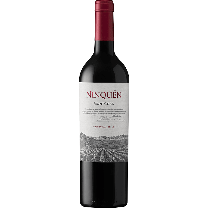 Ninquén