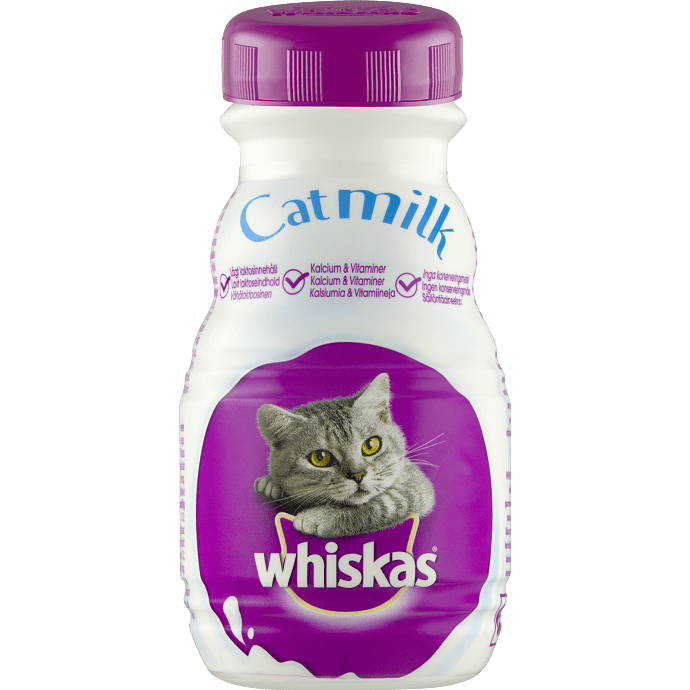 Kattemælk