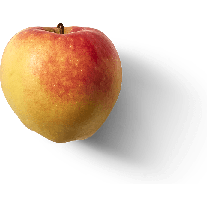 Æbler