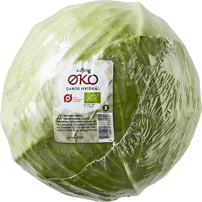 Hvidkål øko