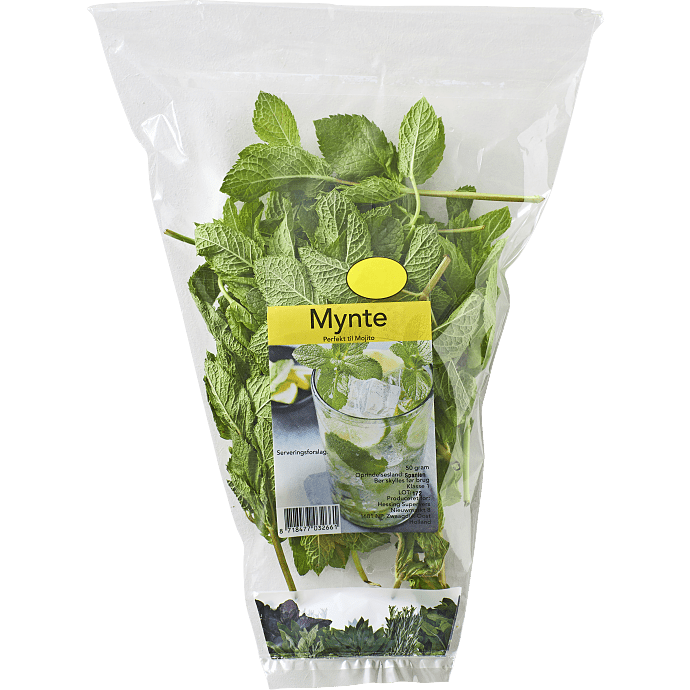 Mynte,&nbsp;XL pose