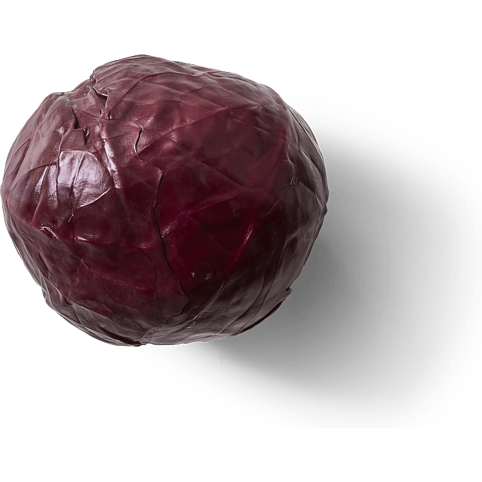 Rødkål