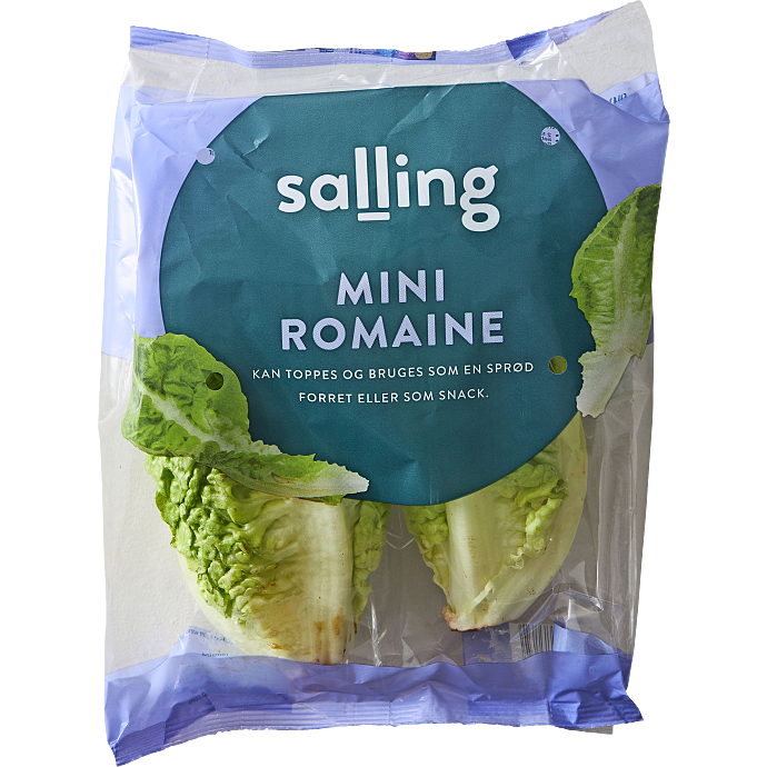 Romainesalat