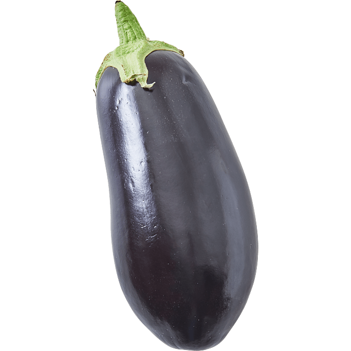 Aubergine