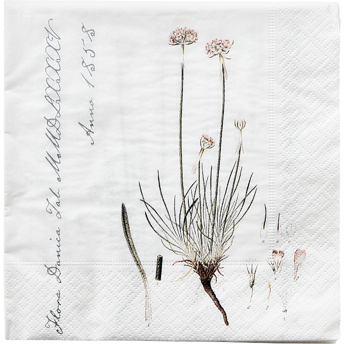 Flora Danica mønstrede servietter 33x33 cm 20-pak