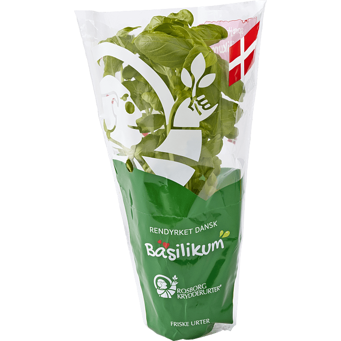 Basilikum