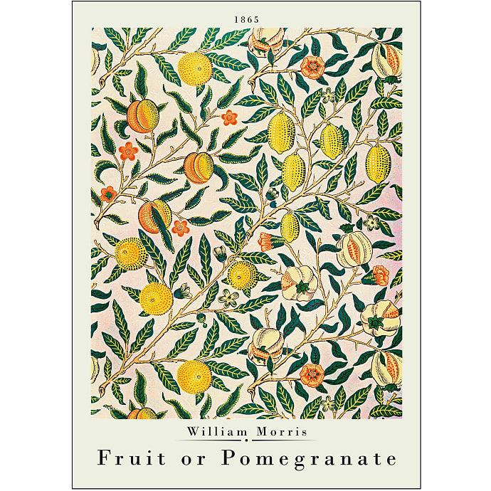 Fruit or pomegranate, W. M. - 30x40 cm