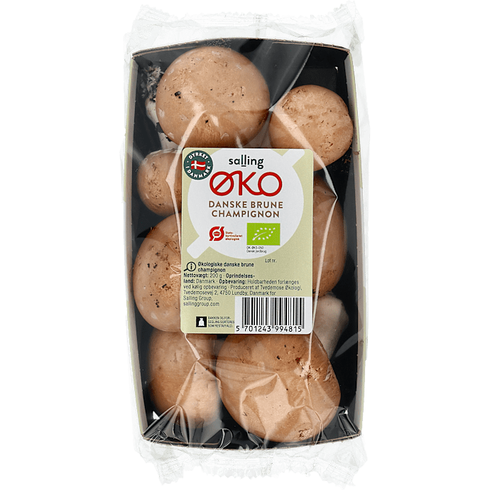 Brune champignon øko