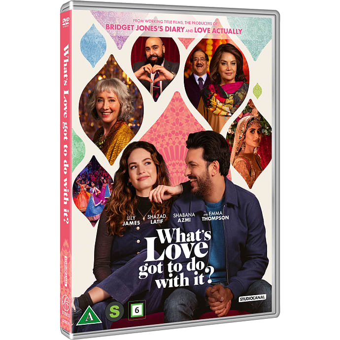 DVD What's Love Got to Do with It