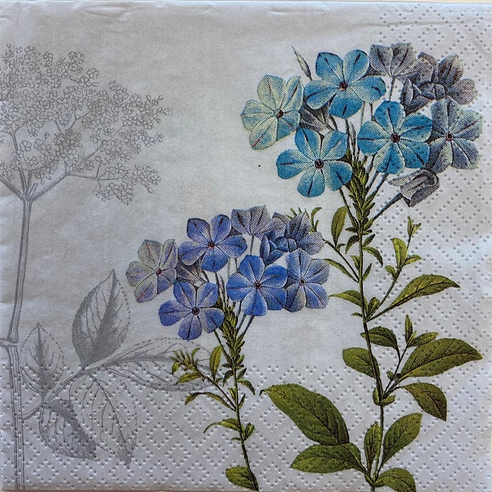Windsor mønstrede servietter 33x33 cm 20-pak