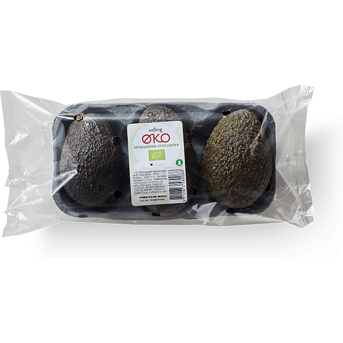 Spisemodne avocadoer øko