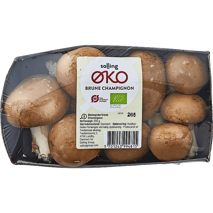 Brune champignon øko